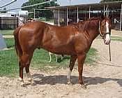 Makin a Stylish Play<br>AQHA 5216110